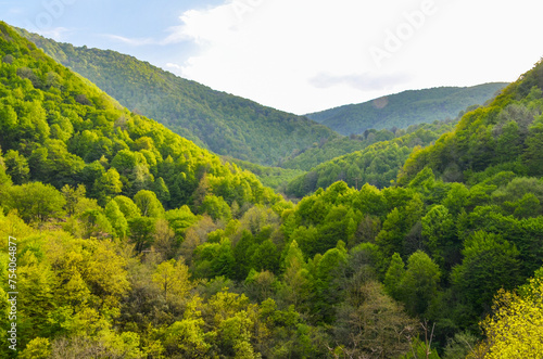 scenic view of Yesil Vadi (Green Valley) near Termal (Yalova, Turkiye)  photo