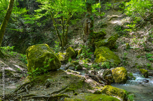 scenic mountain stream in spring forest on Yalova peninsula near Termal  Turkey