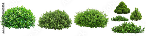 Green garden bushes  Hyperrealistic Highly Detailed Isolated On Transparent Background Png File