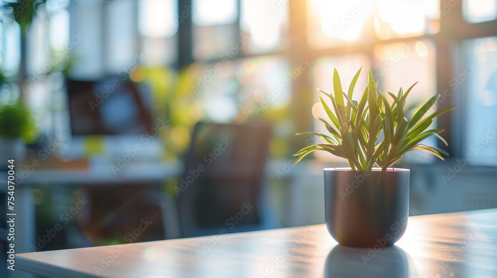 flower in a vase, flowers in a window, flowers in the garden, Soft focus on an empty, contemporary office area with expansive windows promoting a connection to nature flower in a vase, flowers in a window, flowers in the garden, Soft focus on an empty, contemporary office area with expansive windows promoting a connection to nature