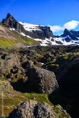 A green, boulder-filled valley on the Stórurð hiking trail, surrounded by the jagged Dyrfjöll Mountains, East Fjords, Iceland. photo