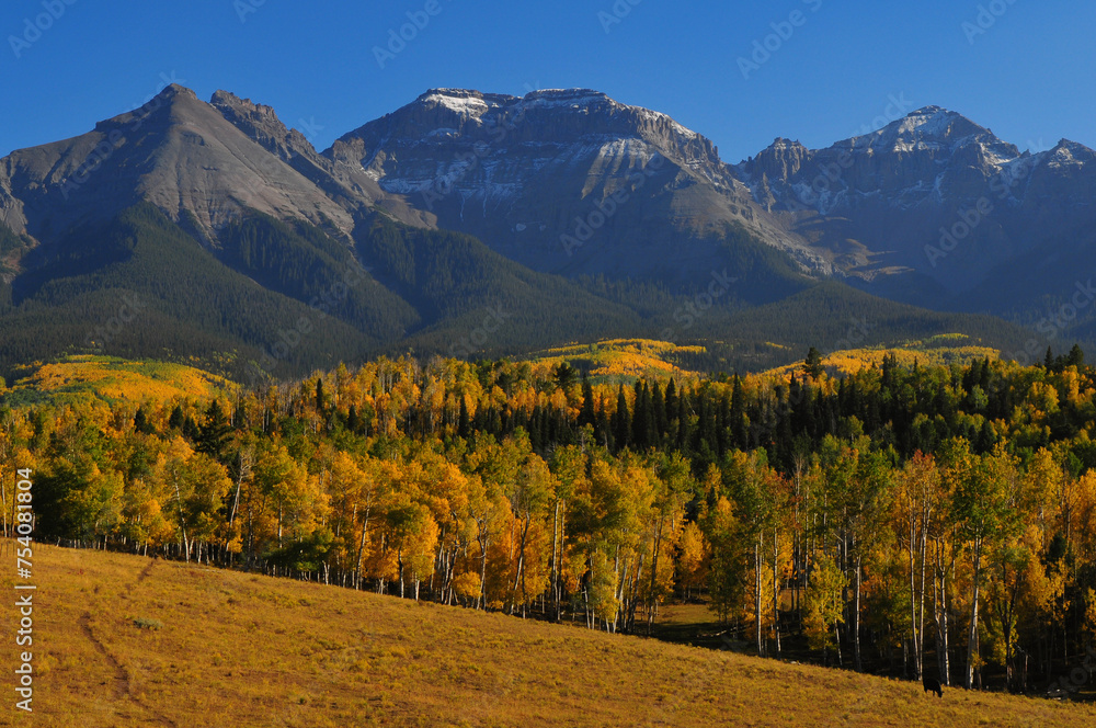 Late afternoon light on fall colors up the slopes of Corbett Peak and ridge and Whitehouse Mountain on the Sneffels Range of the San Juan mountains, from a country road near Ridgway, Colorado, USA.