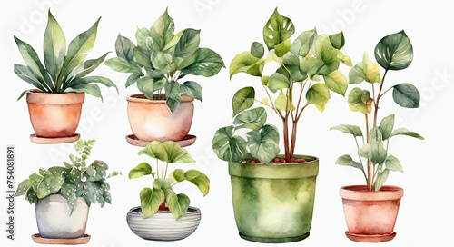 Watercolor set of indoor plants in pots. Hand drawn illustration.