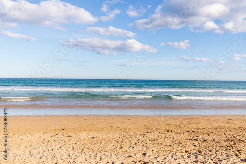 Tranquil Seashore Embraced by Azure Skies and Gentle Tides