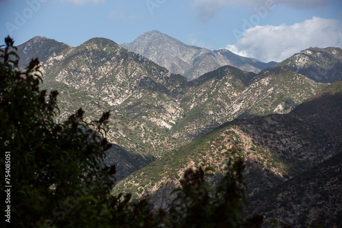 Laurel sumac silhouettes the San Gabriel Mountain range at Mount Wilson, California, USA. photo
