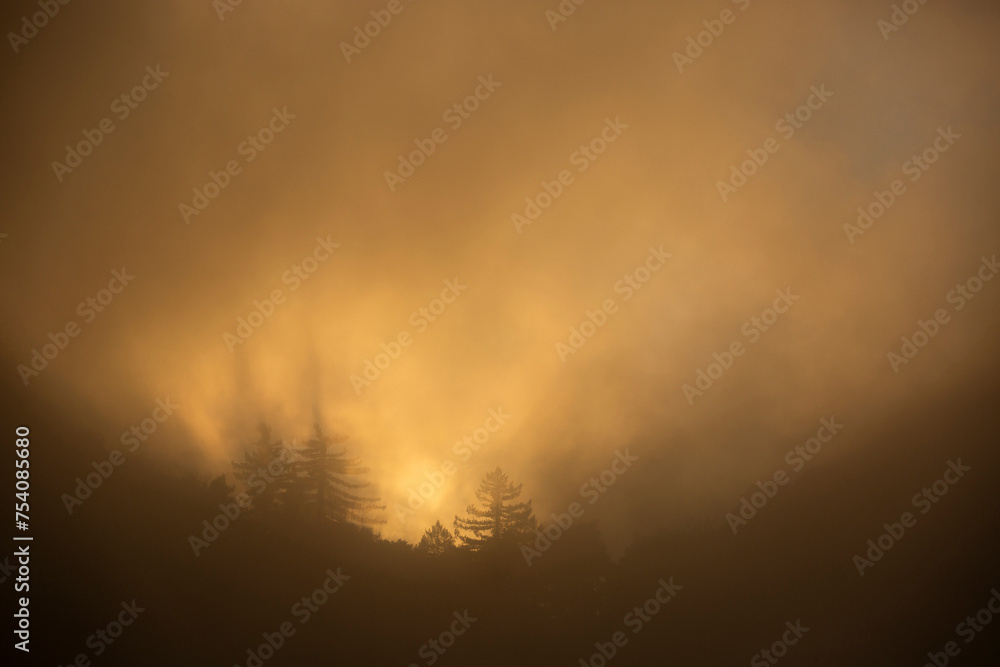 Foggy sunset view of Mt. Lowe on the Eaton Saddle Trail in the San Gabriel Mountains of Mount Wilson, California, USA.