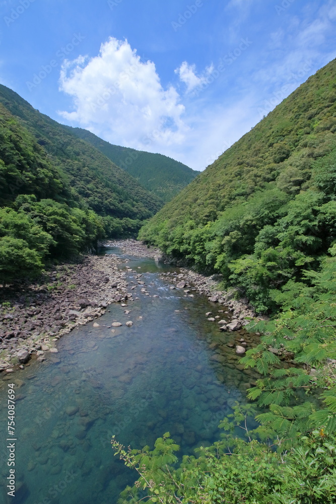 Fototapeta premium 堀ヶ生橋から奈半利川を眺める 初夏 (高知県 北川村)