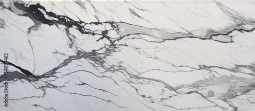 A luxurious black and white marble countertop made of book match Arabesgato marble from Italy. This natural stone is used in architecture and interior design to decorate walls, floors, stairs,