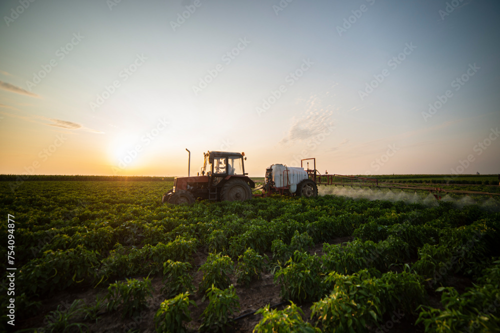 Tractor spraying pesticides on vegetable field with sprayer