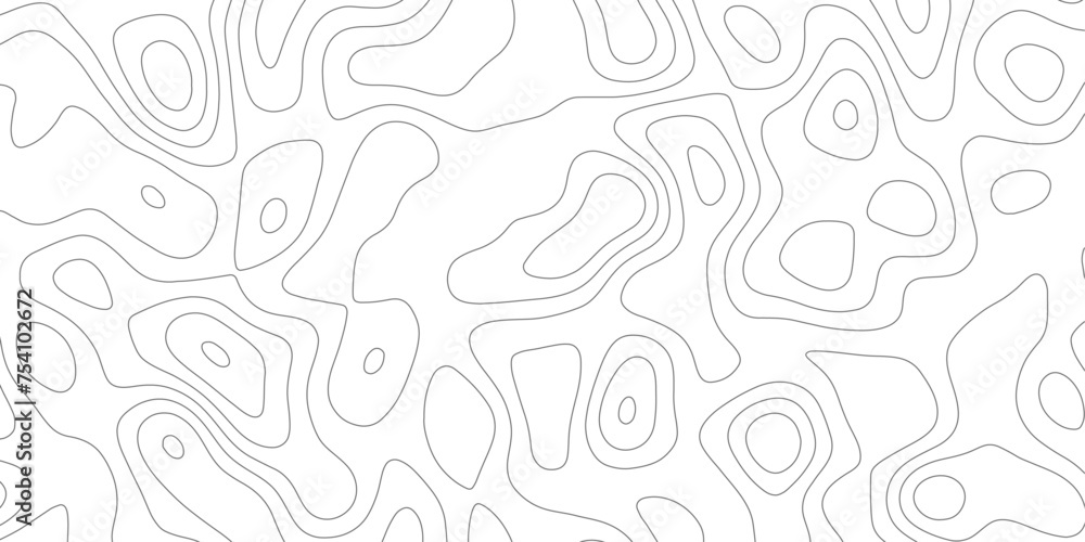 White panorama of clean abstract background topography high quality,lines vector.round strokes strokes on natural pattern earth map.shiny hair.topology.
