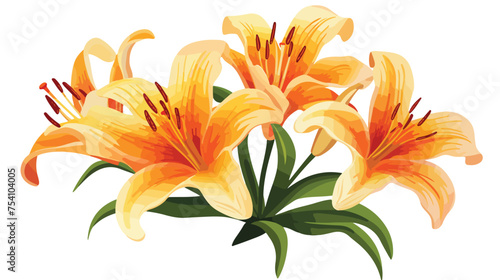 Lily. Flat vector illustration isolated on white background.