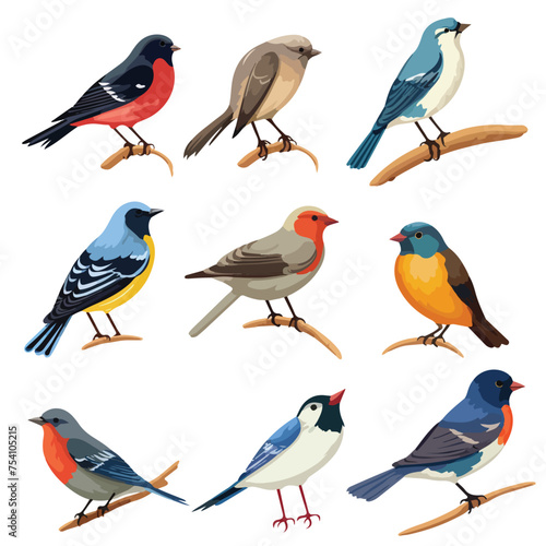 A collection of different types of birds. Vector clipart.