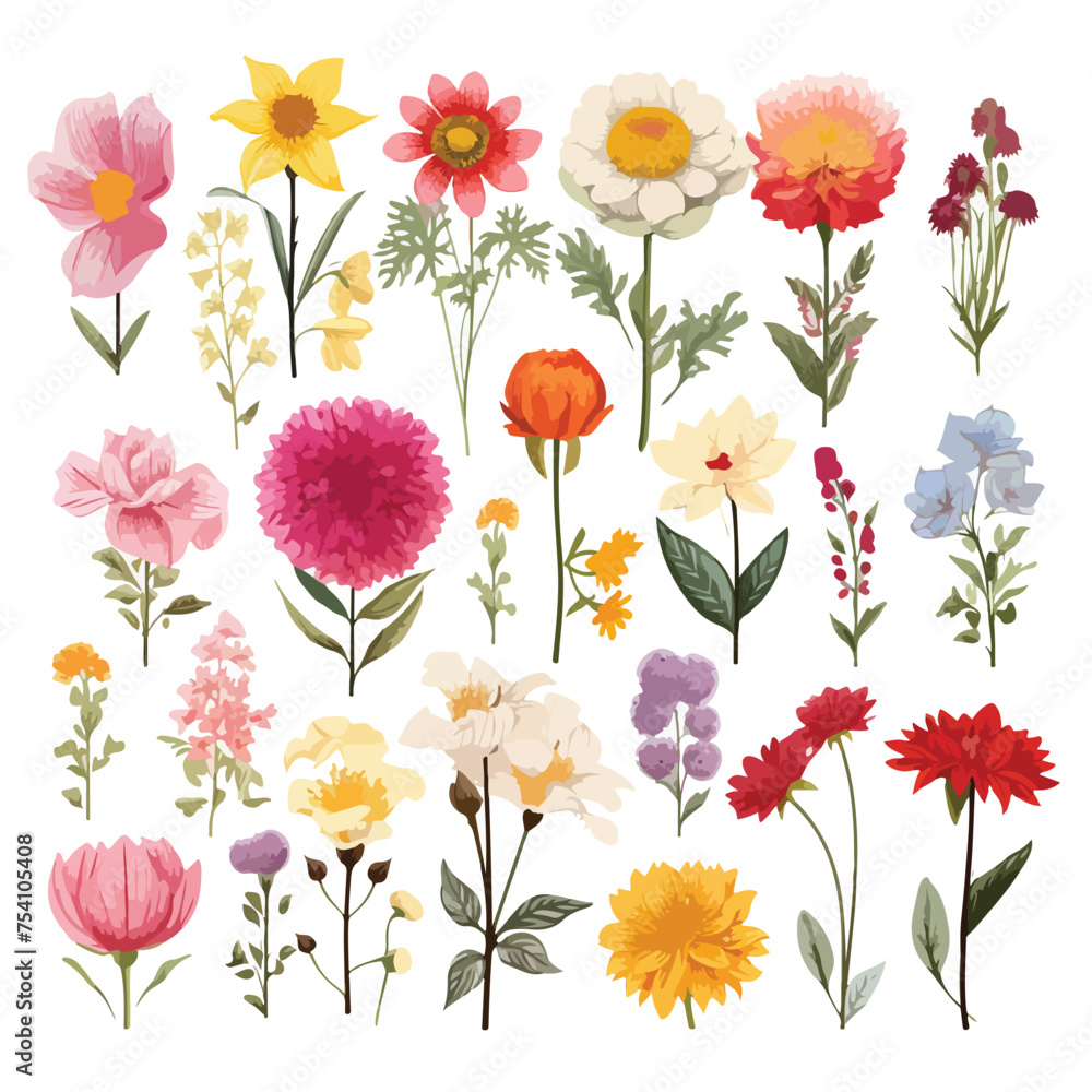 A collection of different types of flowers. Vector clipart.
