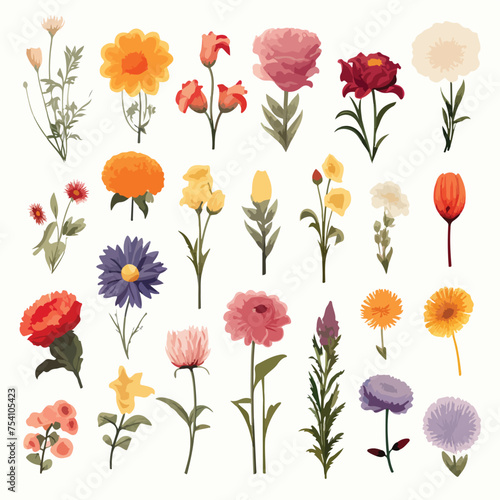 A collection of different types of flowers. Vector clipart.