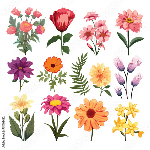 A collection of different types of flowers. Vector clipart. © Nobel