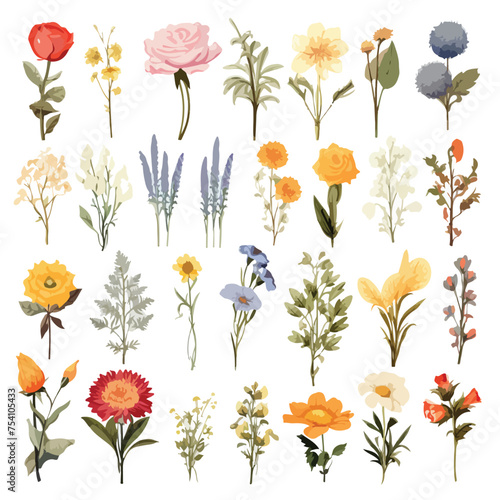 A collection of different types of flowers. Vector clipart.