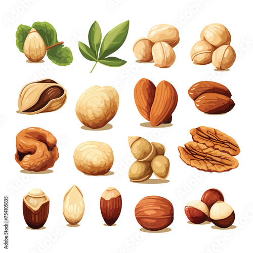 A collection of different types of nuts. Vector clipart.