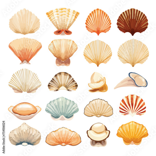 A collection of different types of shells. Vector.