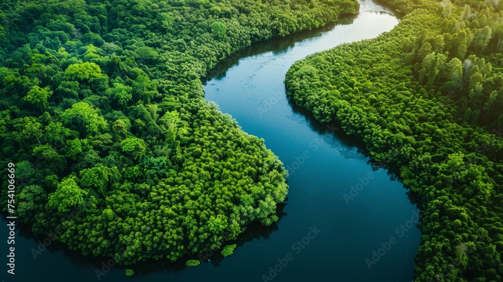 A tranquil aerial view of a winding river cutting through lush forests