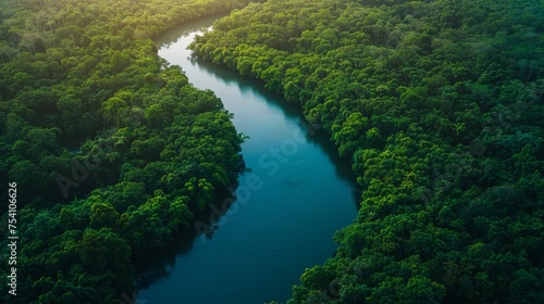 A tranquil aerial view of a winding river cutting through lush forests © MAY