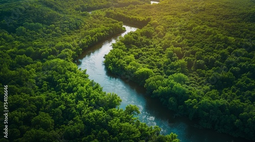 A tranquil aerial view of a winding river cutting through lush forests