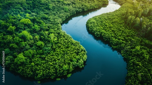 A tranquil aerial view of a winding river cutting through lush forests