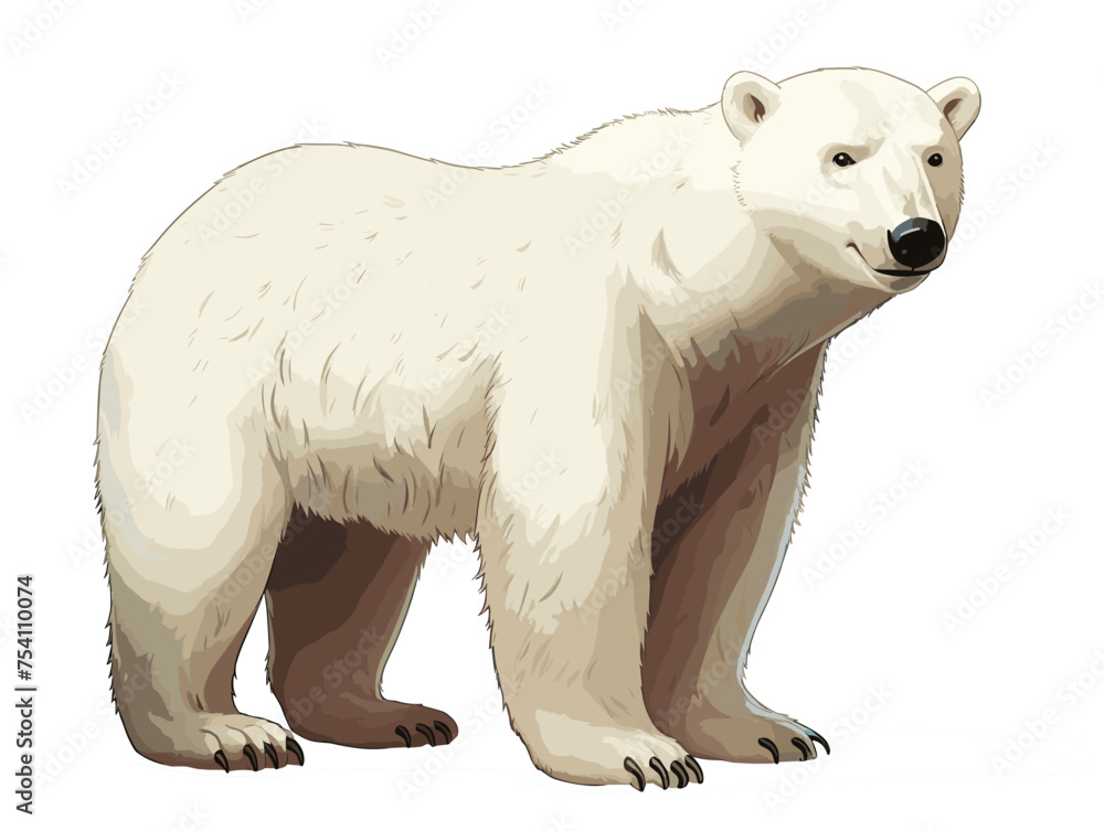 Fototapeta premium Polly Polar Bear Cartoon Full Body Art 