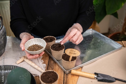 Wallpaper Mural Aussaat im Torftopf, Topf mit Erde füllen, Gemüse selber anpflanzen Torontodigital.ca