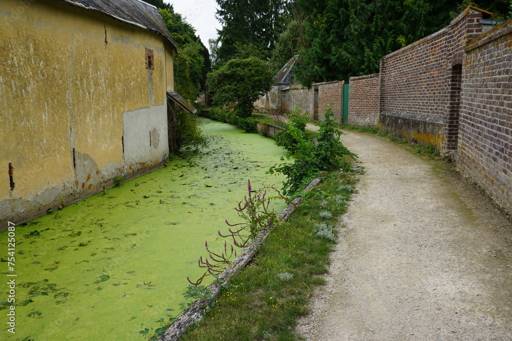small river covered with green algae near the path in the village in france by the stone walls