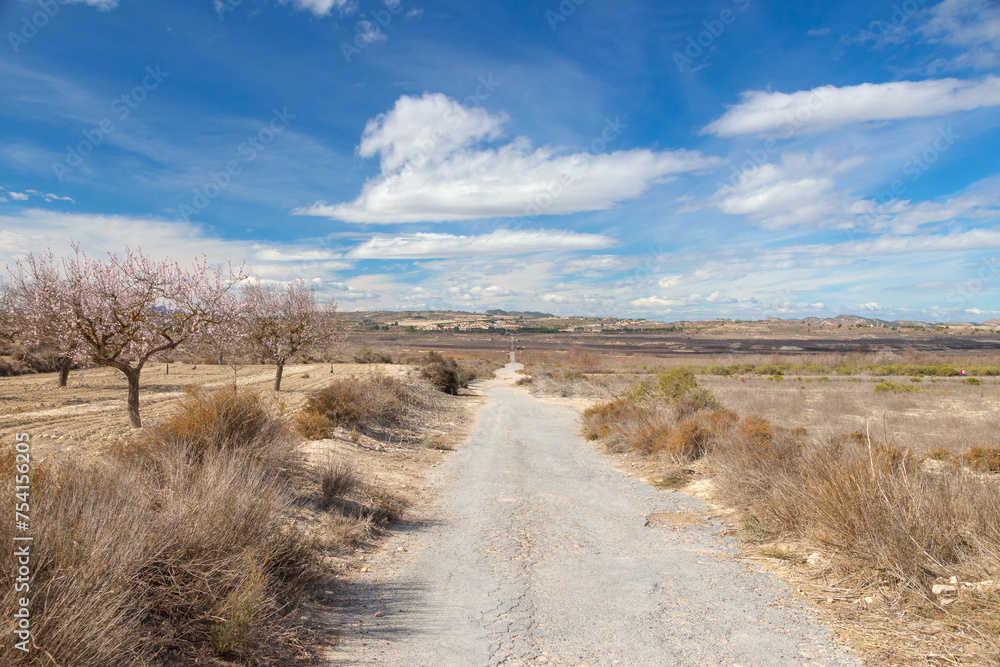 Naklejka premium Vega Baja del Segura - La pedanía oriolana de Torremendo, su entorno y el embalse de la Pedrera o pantano de Torremendo