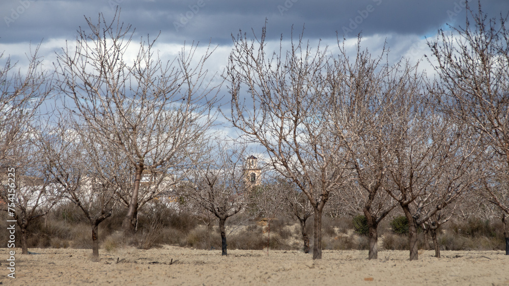 Vega Baja del Segura - La pedanía oriolana de Torremendo, su entorno y el embalse de la Pedrera o pantano de Torremendo Vega Baja del Segura - La pedanía oriolana de Torremendo, su entorno y el embalse de la Pedrera o pantano de Torremendo