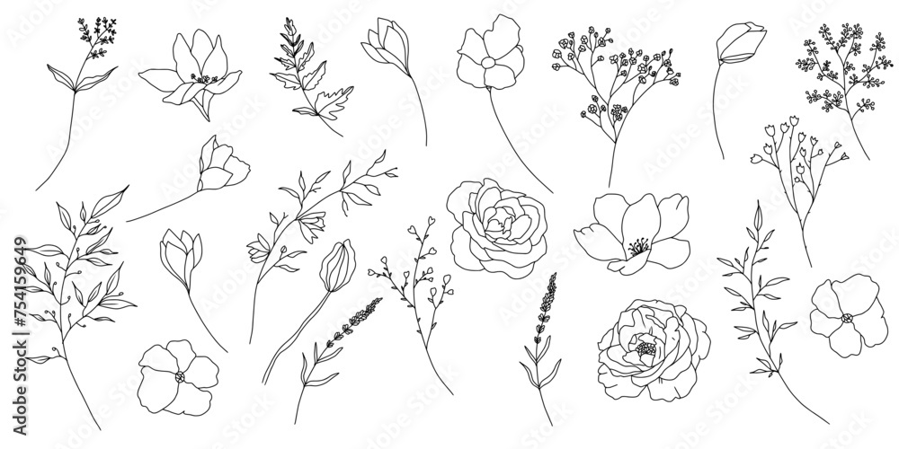 Set of floral elements. Romantic flower collection with flowers, twigs, leaves, herbs and berries. Vector design isolated on white background.