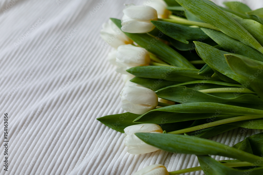 Obraz premium A bunch of white tulips on a white blanket. Bouquet of tulips on bed in the morning. Top view.