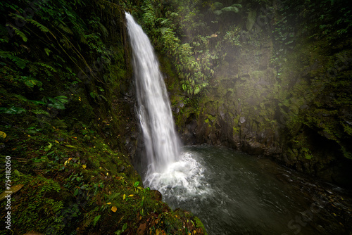 River with white stream, rainy day, green vegetation in national park. La Paz Waterfall Gardens, with green tropical forest, Central Valley, Costa Rica.