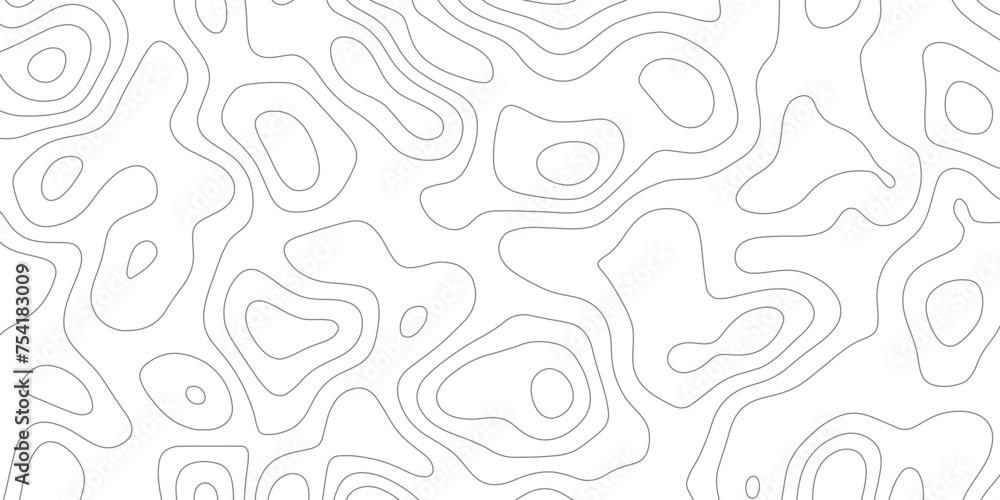 White desktop wallpaper.topographic contours lines vector high quality topography shiny hair,map background strokes on.topology.round strokes land vector.
