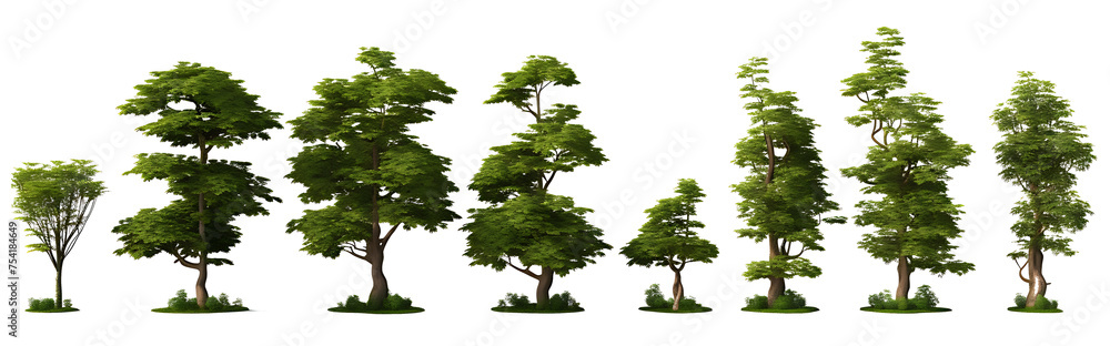 Obraz premium Jungle rain forest trees shapes cutout 3d render png set
