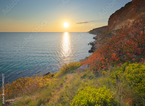 Beautiful spring nature and sea landscape