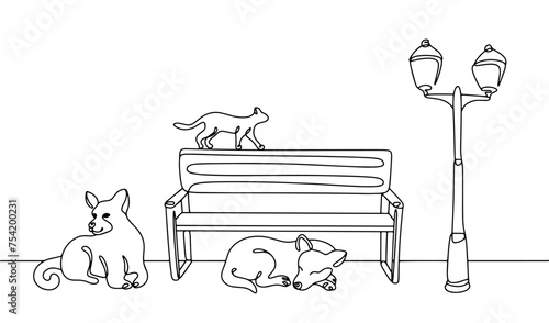 Two homeless dogs and a cat in the park