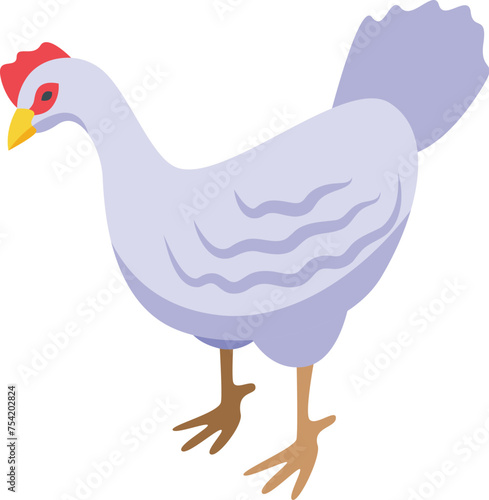 White chicken bird icon isometric vector. Farming production. Stable industry
