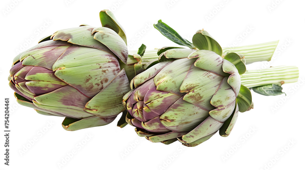 Fototapeta premium artichoke isolated on white background