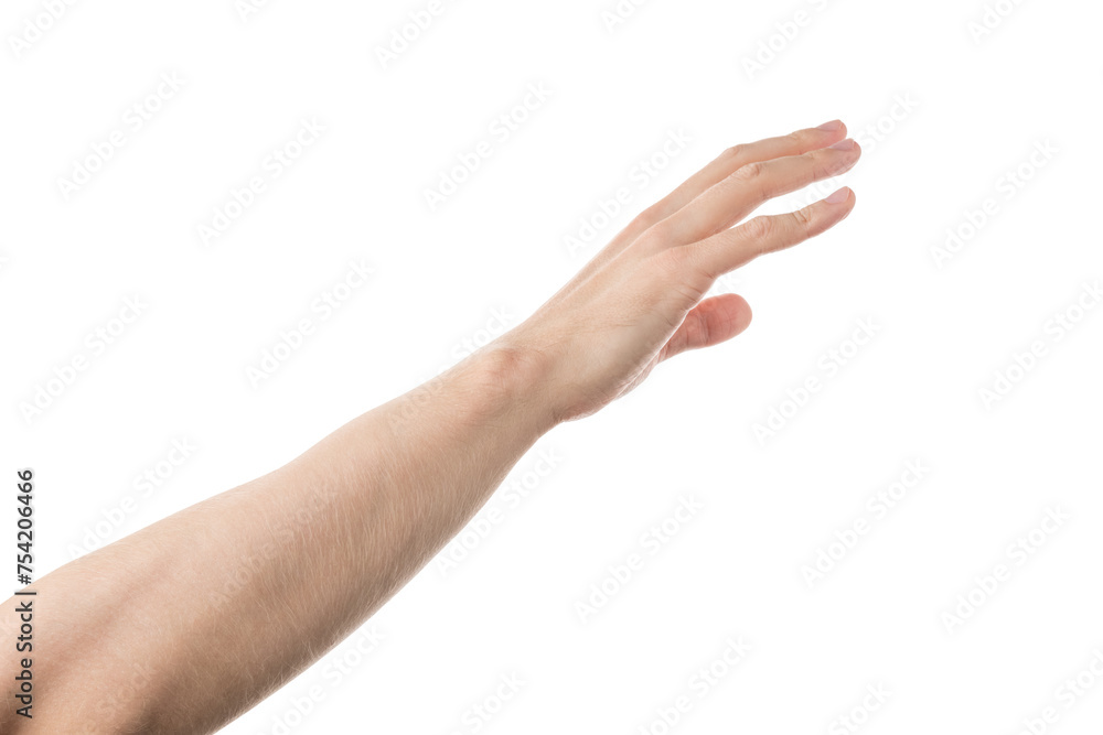 Adult man hand reaching gesture isolated on white background - obrazy, fototapety, plakaty 