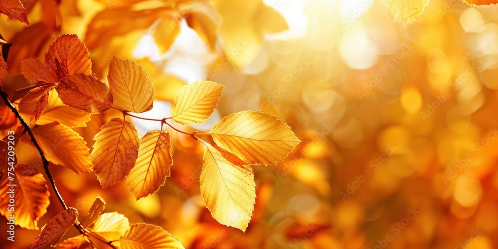 Golden Majesty. Embracing the Beauty of Autumn with its Radiant Golden Scenery - obrazy, fototapety, plakaty 