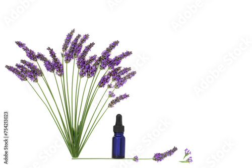 Lavender flower herb. Aromatherapy essential oil used in natural alternative herbal medicine. Healthy adaptogen food eating floral nature design on white background.