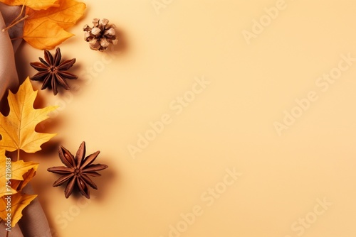 Autumn background with leaves and spices. Still life. 