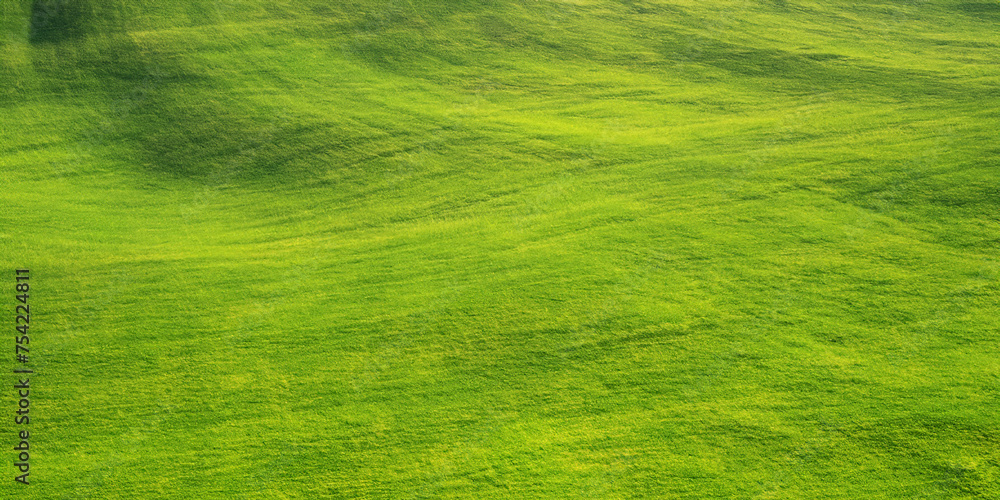 Obraz premium The picture shows a green grass field in an outdoor environment, portraying a thriving expanse of grass in a scenery
