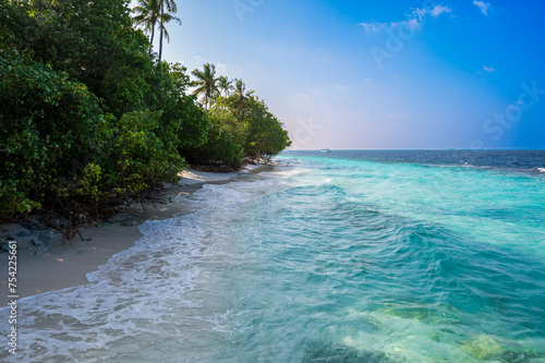 A beautiful sandy beach near a dense tropical forest. photo