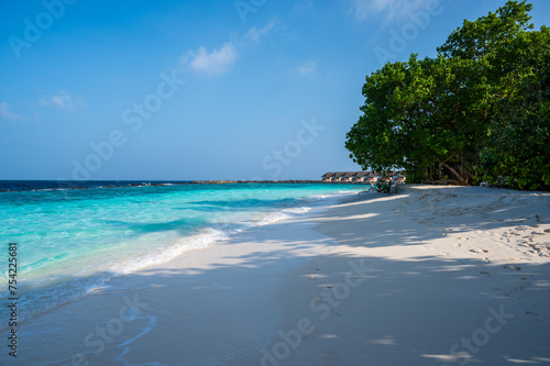Fototapeta Naklejka Na Ścianę i Meble -  A beautiful sandy beach near a dense tropical forest.