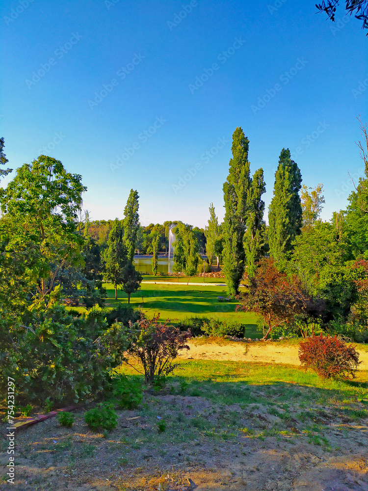 Fototapeta premium Taking a stroll in the park.