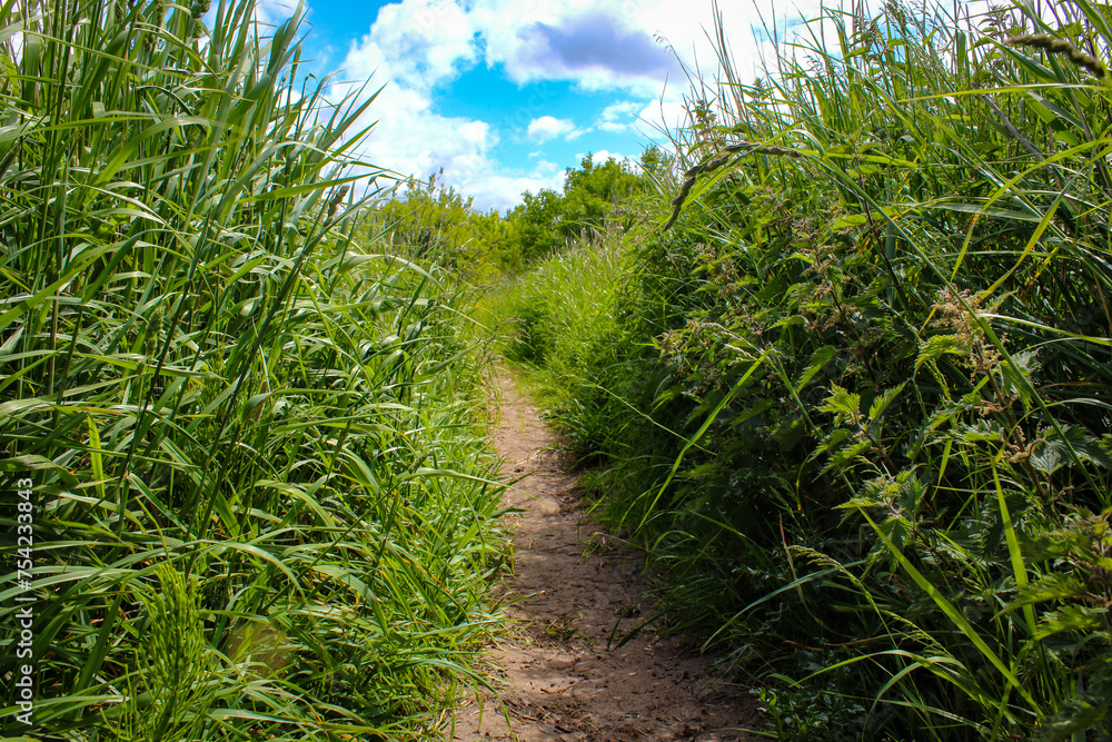 A beautiful landscape shot of the British Countryside on a hot summer afternoon A beautiful landscape shot of the British Countryside on a hot summer afternoon