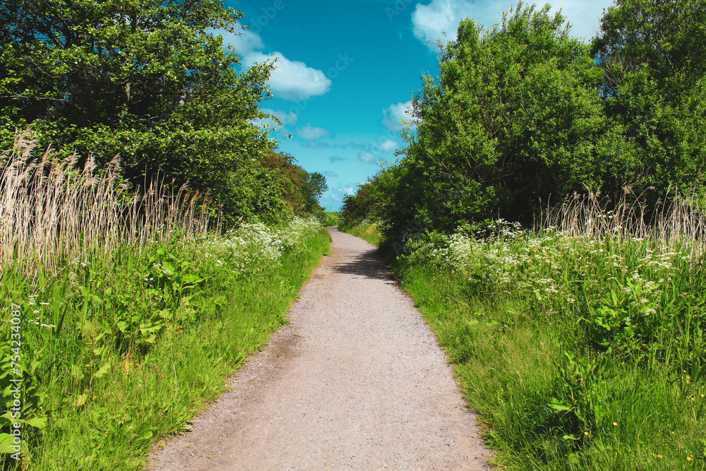 A beautiful landscape shot of the British Countryside on a hot summer afternoon